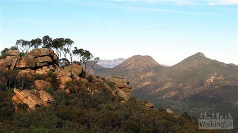 St Mary Peak Hike, Ngarri Mudlanha, Wilpena Pound | Walking SA