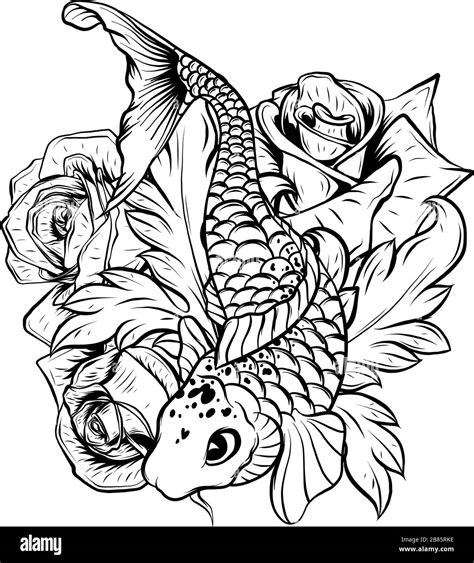 illustration of koi fish. drawing vector. vector illustration Japanese motif. japan background ...