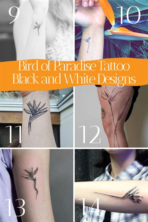 67 Colorful Bird of Paradise Flower Tattoo Designs - TattooGlee | Bird ...