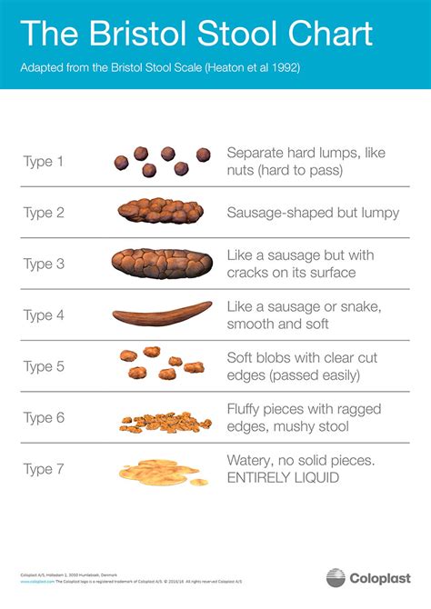 12 free printable stool color charts word pdf - poop stool color changes color chart and meaning ...