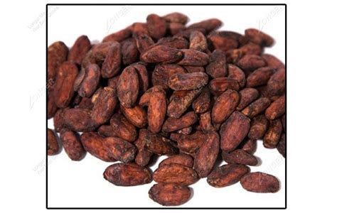 Commercial Cocoa Beans Roasting Time and Temperature in Factory