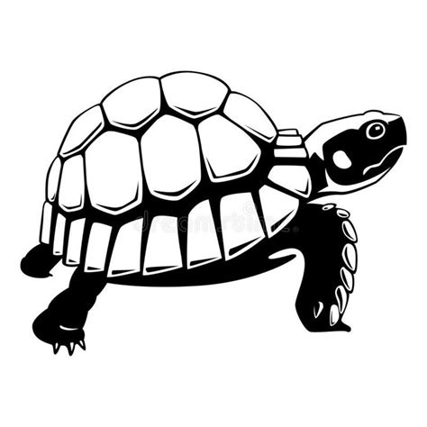 a black and white drawing of a turtle