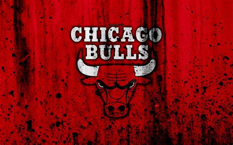 Chicago Bulls Logo History