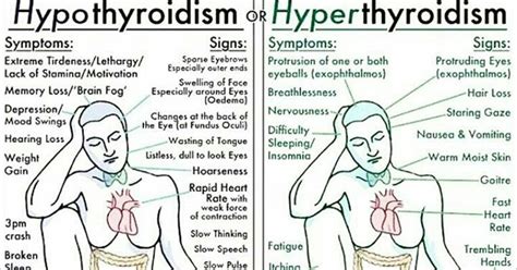 Hyperthyroidism vs Hypothyroidism: How to Detect and Treat Thyroid Disorders : The Hearty Soul