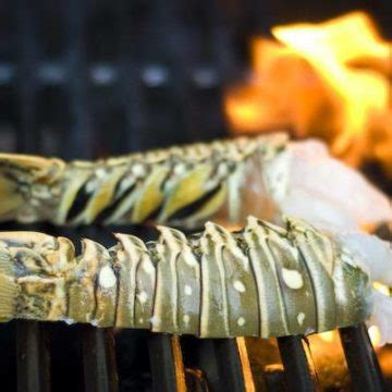 Tips on How to Grill Lobster Tails | Grilled Lobster Tails Recipe