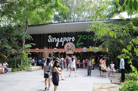 Singapore Zoo, Singapore Tourist Information