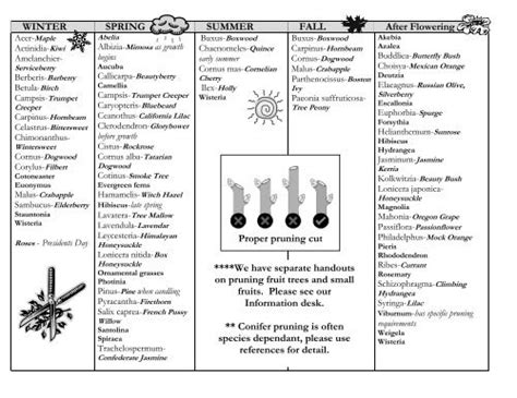 Pruning Calendar - Portland Nursery