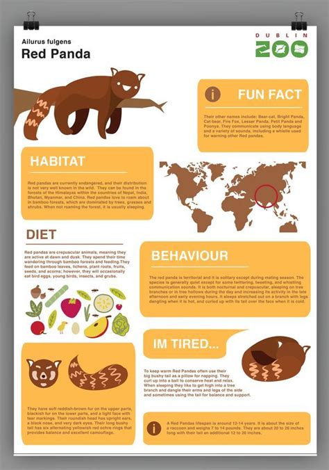 Animal infographic, Infographic, Zoo