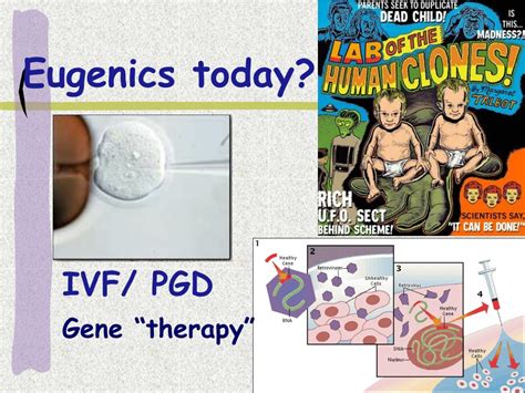 PPT - Inheritance: Mendelian Genetics PowerPoint Presentation, free download - ID:118061