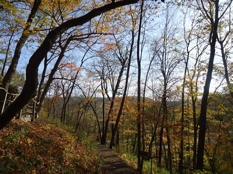 View from Hiking Trail at Effigy Mounds, Iowa image - Free stock photo ...