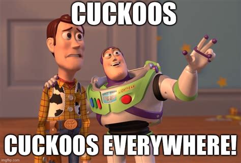 cuckoo Memes & GIFs - Imgflip