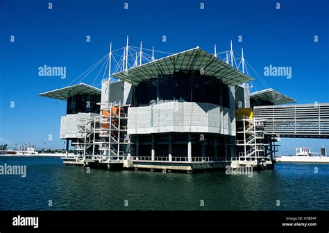 Lisbon Aquarium Portugal Stock Photo - Alamy