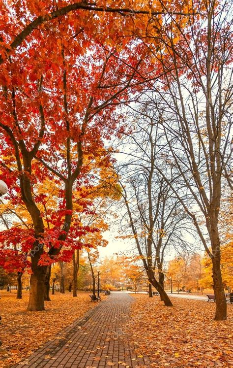 Autumn city park — Stock Photo © beerlogoff2 #56173211