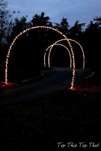 Outdoor Christmas Lights and DIY Arches | Outdoor christmas lights, Outdoor christmas, Outdoor ...