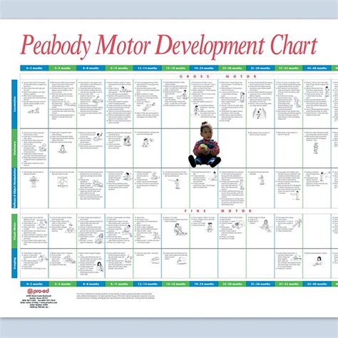 Pin on Brain&Motor Development