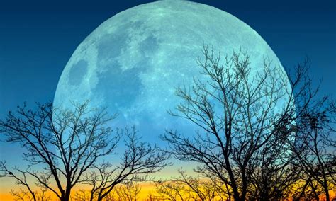 Super Blue Moon 2023: ‘ಸೂಪರ್ ಬ್ಲ್ಯೂ ಮೂನ್‌’ ಕಂಡು ಮೂಕವಿಸ್ಮಿತರಾದ ಜನ ...