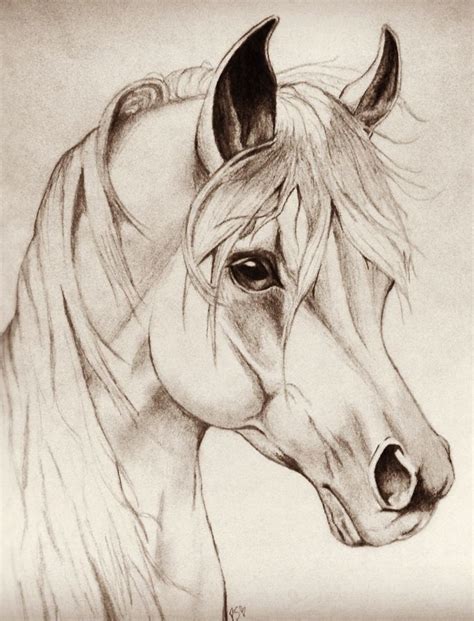 25+ bästa Como dibujar un caballo idéerna på Pinterest ... | Horse head drawing, Horse drawings ...