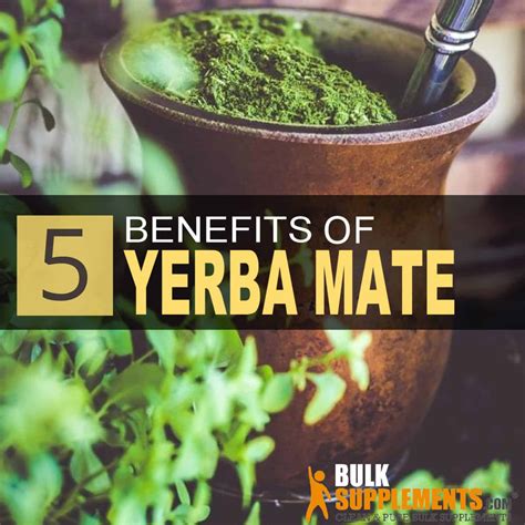 yerba mate side effects Archives