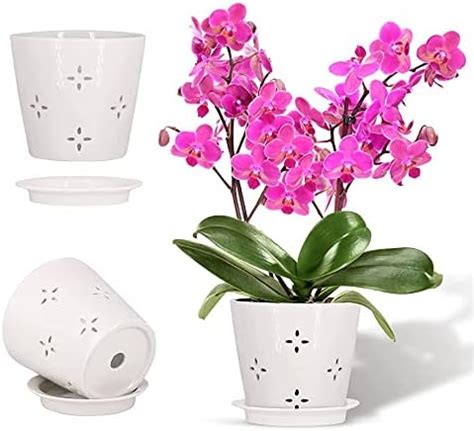 Amazon.com: EFISPSS Orchid Pot with Holes, 5+6Inch Ceramic Plant Pots with Drainage Holes and ...