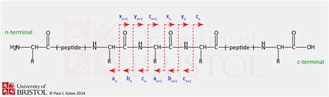 Mass Spectrometry Facility | Peptide Sequencing