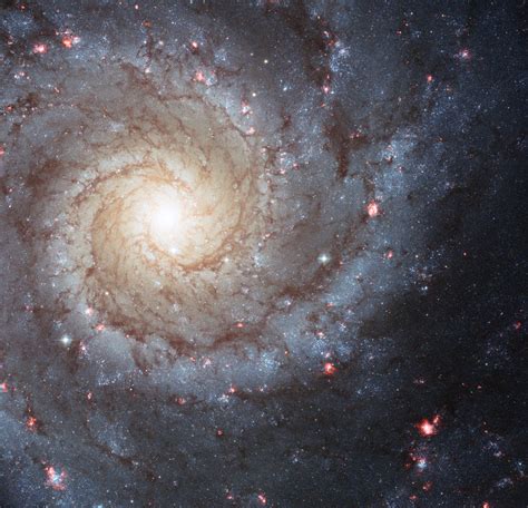 Spiral Galaxy Facts & Definition | Space