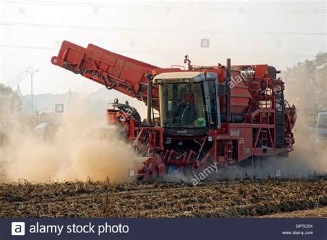 Potato Harvester Stock Photos & Potato Harvester Stock Images - Alamy