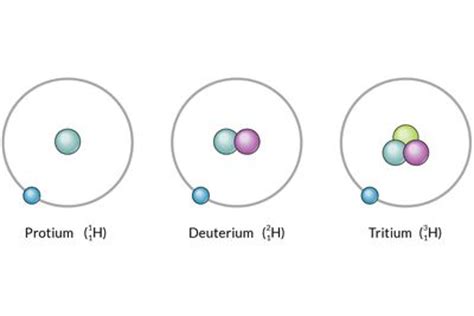 Differences Between Carbon-12 and Carbon-14