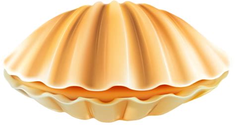 Clam Shell PNG Clip Art Transparent Image | Clip art, Clam shell, Clams