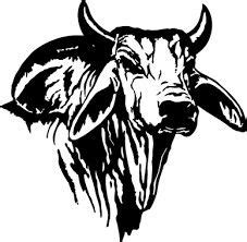 Bull Art Drawing, Cow Drawing, Cow Logo, Farm Logo, Cow Tattoo, Horse Tattoo, Drawing Images ...