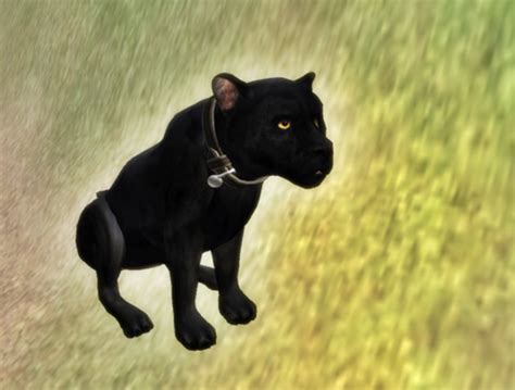 Second Life Marketplace - black panther pet