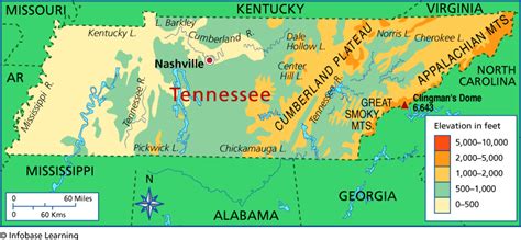 Tennessee Elevation Map | Elevation map, Chickamauga, Clingmans dome