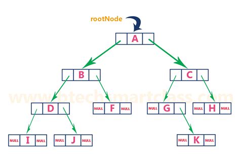 Data Structures Tutorials - Binary Tree Representations with an example