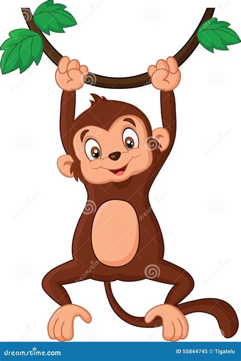 Cartoon Monkey Hanging In Tree Stock Vector - Image: 55844745