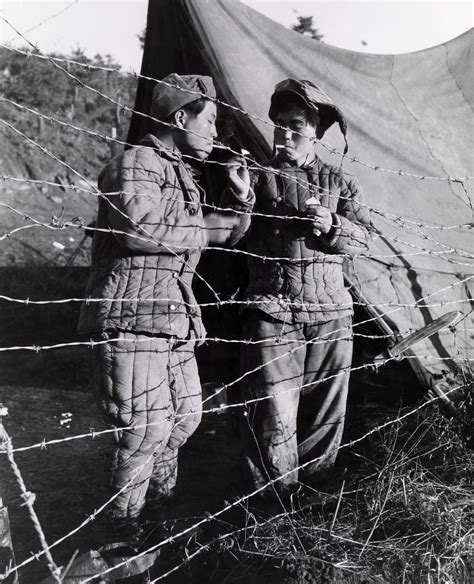 Photo Archives: North Korean Prisoners of War, 1951