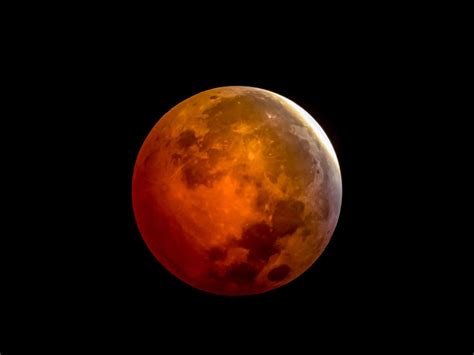 How to View the Total Lunar Eclipse in 2021 | Martha Stewart