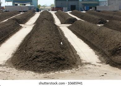 Rows Mulch Green Waste Recycle Plant Stock Photo (Edit Now) 10685941