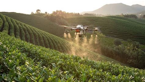 Benefits Of Using Drones For Spraying Crops