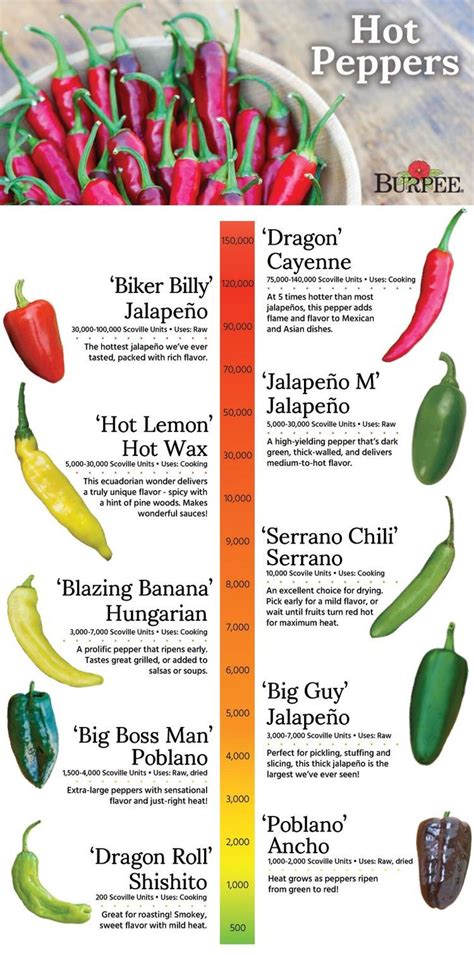 Types Of Peppers Chart