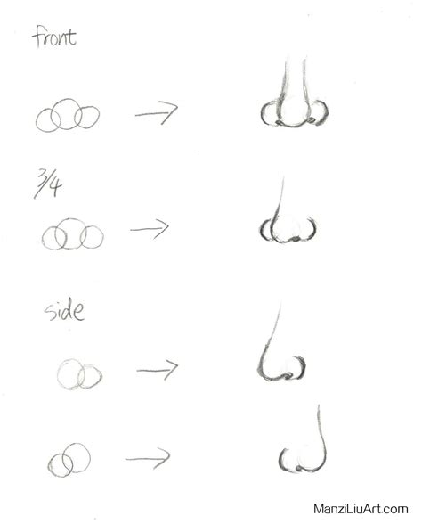 HOW TO DRAW NOSE from Different Angles Easy | Nose drawing, Realistic drawings, Drawing tutorial ...