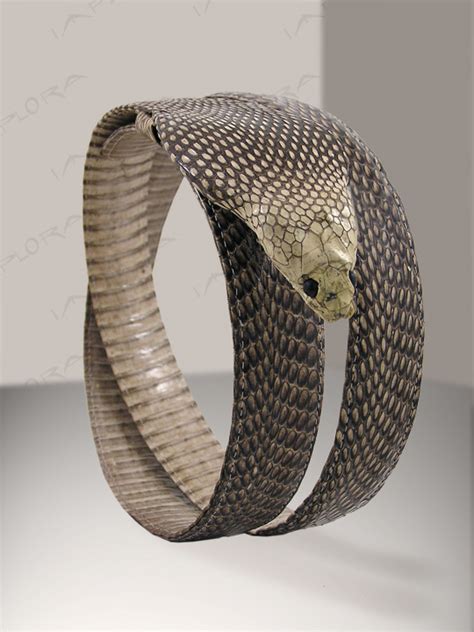 Snake Skin Products, Shark Stingray Ostrich Lizard, Genuine! USA Free Shipping