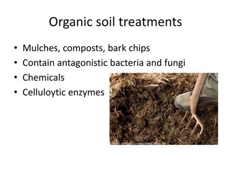 Organic soil treatments