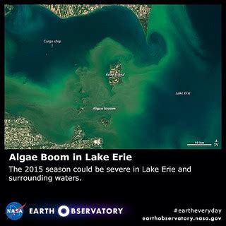 Algae Boom in Lake Erie | On July 28, 2015, the Operational … | Flickr