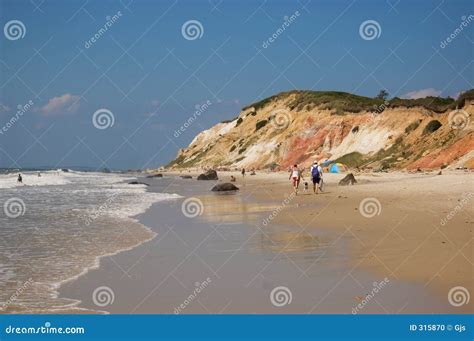 Beach On Martha's Vineyard Stock Photo - Image: 315870