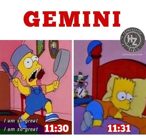 15 Gemini Season Memes to Wish Your Favorite Air Sign a Happy Birthday