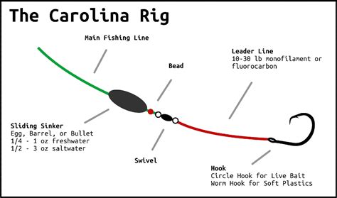 The Carolina Rig - Everything You Ever Wanted To Know - Juran Adventures