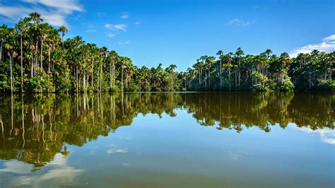 Sandoval Lake in Tambopata National Reserve | Blog Machu Travel Peru