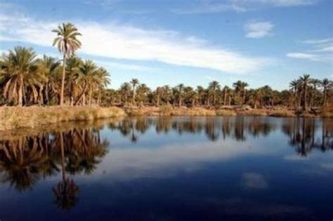 Ouargla Tourism: Best of Ouargla, Algeria - TripAdvisor