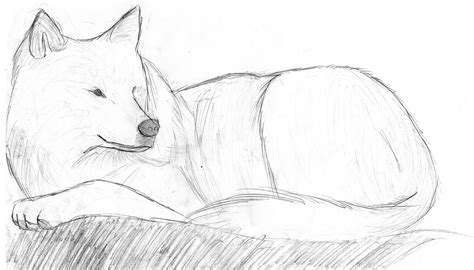 Wolf Laying Down by LimeWolf on DeviantArt