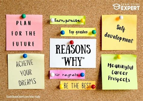 Why Study? 17 Reasons & Benefits To Inspire & Motivate You - Exam Study Expert