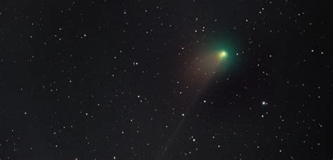 A green comet with an anti-tail: the secrets of a peculiar phenomenon that can be easily seen ...